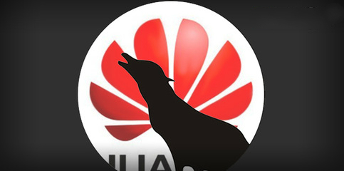 华体会vip5出售
：一个资深多媒体通讯解决方案提供商“如何做最好的产品”